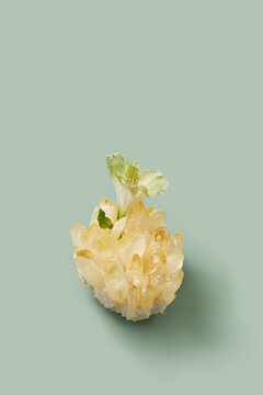 Fresh spring flower on rough orange crystal