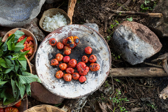 Roasted tomatoes on a comal next to edible plants