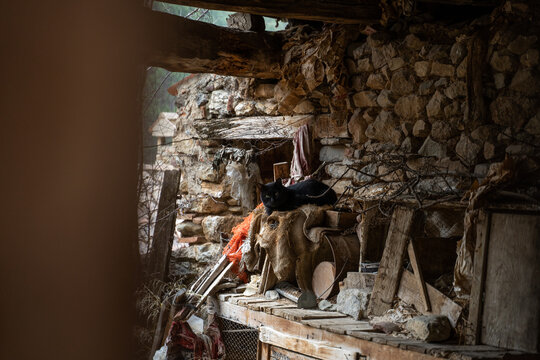 Cat laying on top of messy stuff in abandoned house