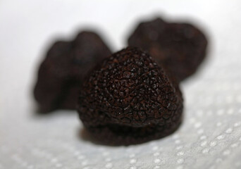 Black wild summer truffles close up family tuberaceae botanical modern high quality big size background prints kitchen home decoration