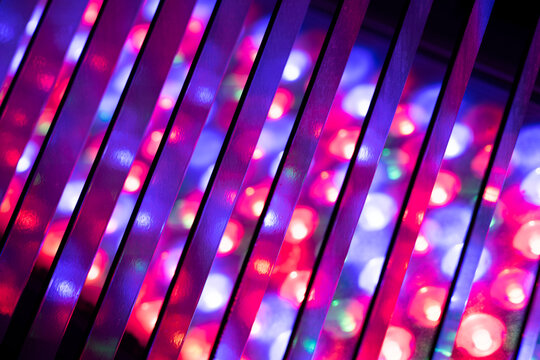 Colorful neon lights