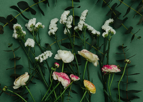 Spring flowers on a green background