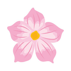 pink orchid icon