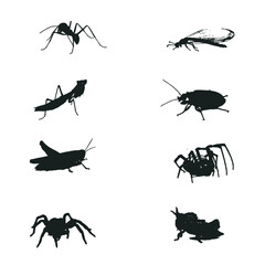 Insect set vector silhouette on white background