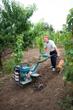 Farmer With Tiller Machine Working In Garden With Dog