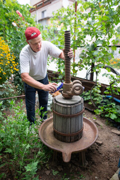 Mature Wiemaker Cleaning Wooden Winepress