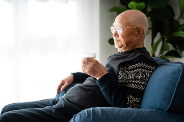 Portrait of Asian senior man