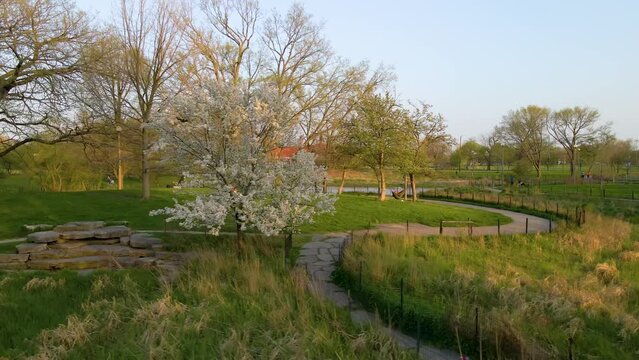 aerial drone view of a local park in Chicago westside during a beautiful evening. the natural green environment and clear water is great for tourism sightseeing