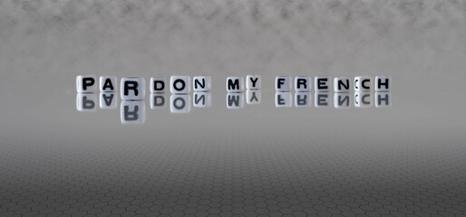 pardon my french word or concept represented by black and white letter cubes on a grey horizon background stretching to infinity - obrazy, fototapety, plakaty
