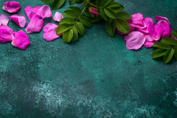 Pink rose hip petals with leaves