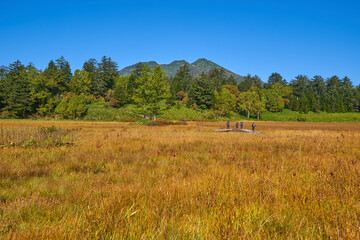 秋の尾瀬 尾瀬沼ビジターセンター付近から大江湿原、燧ヶ岳方面を見る