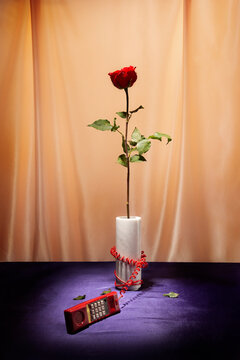 A headphone wrapped around a vase with a flower