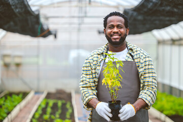 black worker in plant agriculture farm happy smile hand holding small tree