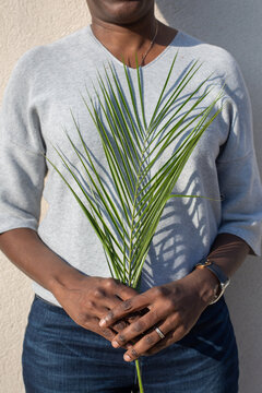 ecology and environment, female hands holding green plant branch