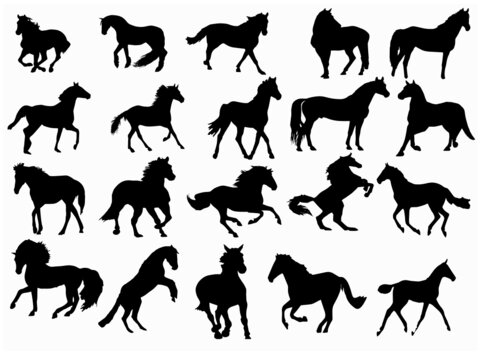 Horse Vector Art, Icons, and Graphics Vector set bundle of hand drawn horse silhouette isolated on black background for Free EPS