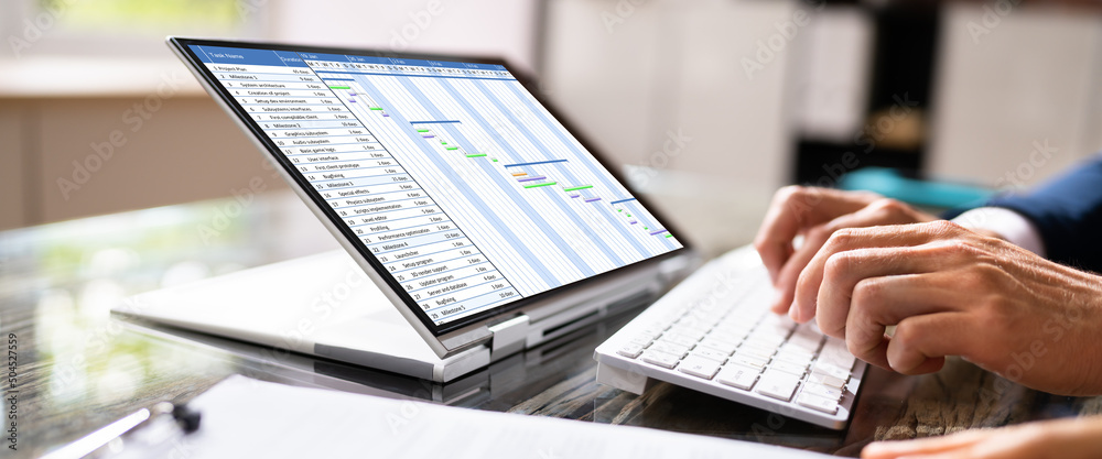 Poster gantt gantt software project