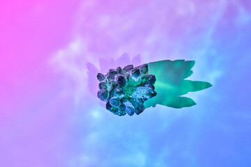 Healing magic amethyst crystals