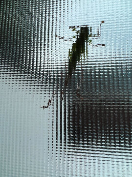 Grasshopper on patterned glass