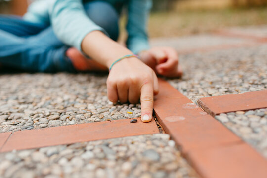 Curious Kid observing  a bug on the ground in a garden