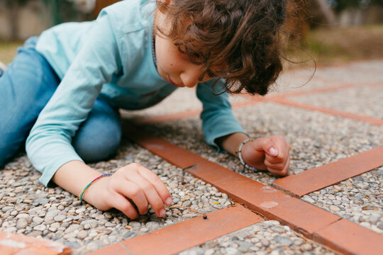 Curious Kid observing  a bug on the ground in a garden