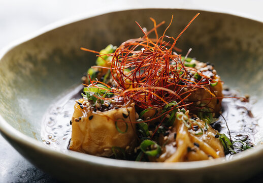 Delicious dish with pork gyozas with vegetables