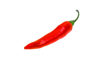 Red hot chili pepper isolated on white background