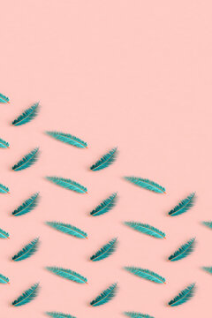 collection pf blue feathers with copy space. 3d render