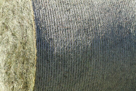 hay bale detail.