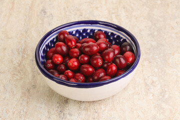 Ripe sweet tasty cranberry in the bowl