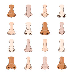 Different human noses cartoon illustration set. Male and female noses, parts of face on white background. Rhinoplasty, anatomy, surgery, breathing, medicine concept