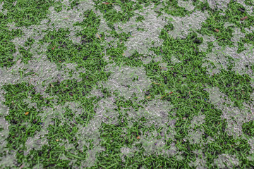 Melting snow in nature on the grass, top view
