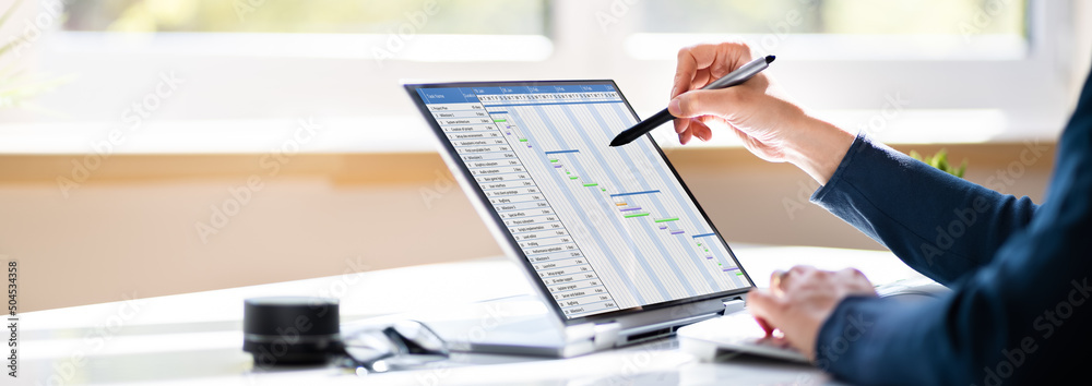 Poster gantt project management chart software
