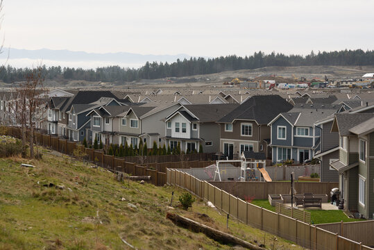 Dense and crowded Suburbs