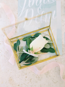 Rose Flower In Glass Box Case