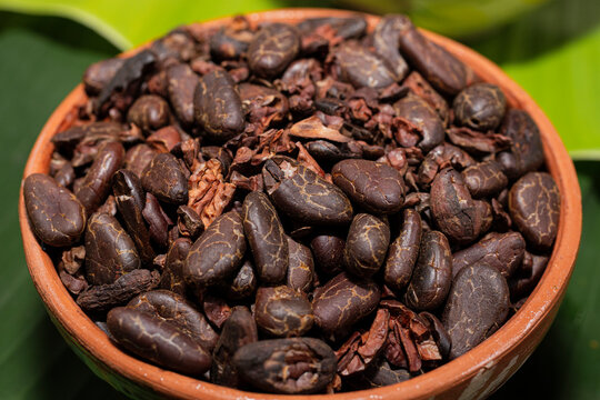 Roasted cocoa beans without shells