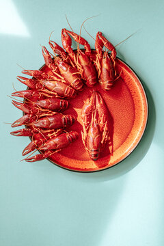 Crayfish on blue