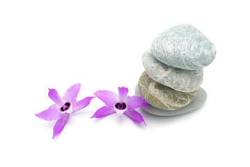 Purple Dendrobium anosmum and stacked stone on white background.