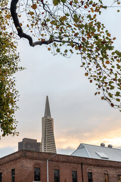 Beautiful view at high-rise buildings of San Francisco