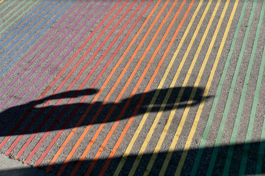 Closeup view at rainbow zebra on asphalt roadway