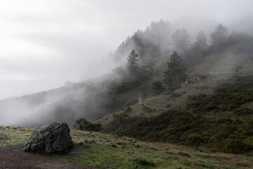Beautiful view at green hills covered by strong mist