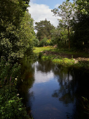 Fototapeta na wymiar Summer's countryside in Mayo county, Ireland