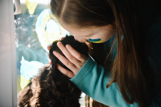 my cat
