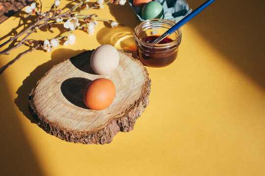 Easter Eggs And Bloomed Spring Flowers