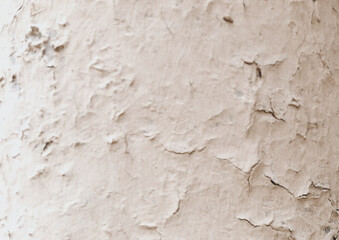 white painted wall