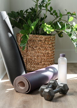 Workout equipment at home