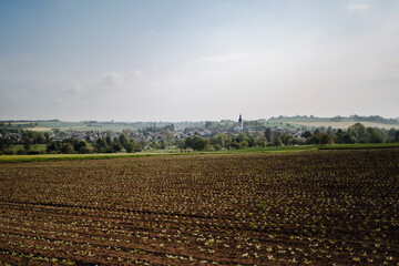 View of the village muschenheim, hesse, germany. In the foreground a field with growing plants in...