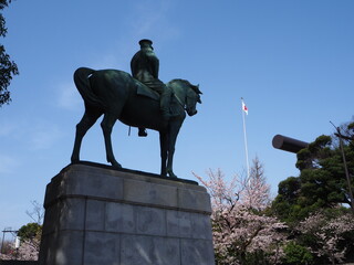 the beautiful cherry blossoms of Chidorigafuchi in Tokyo, JAPAN