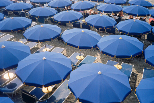 group of umbrellas