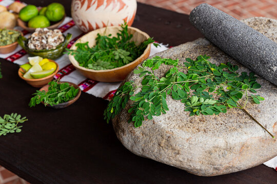 Moringa leaves on a stone metate with more ingredients next to it