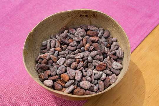 Cocoa beans with shell inside a j&iacute;cara on a wooden table 